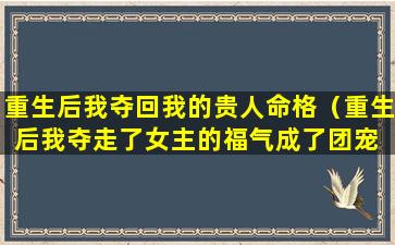 重生后我夺回我的贵人命格（重生后我夺走了女主的福气成了团宠 来寻男主的）